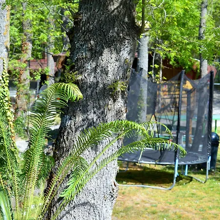 By Baza Academic Appartement