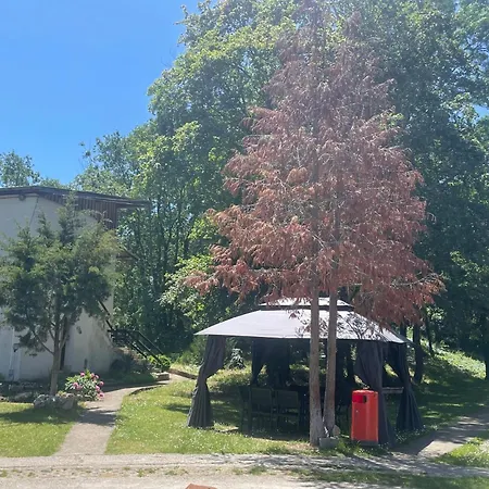 By Baza Academic 아파트 *