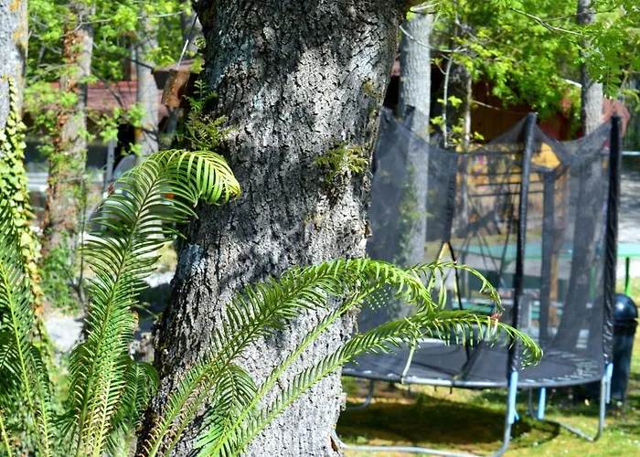 By Baza Academic Apartament