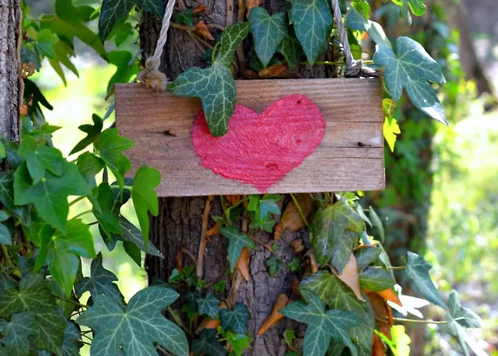 By Baza Academic Apartament Nisipurile de Aur