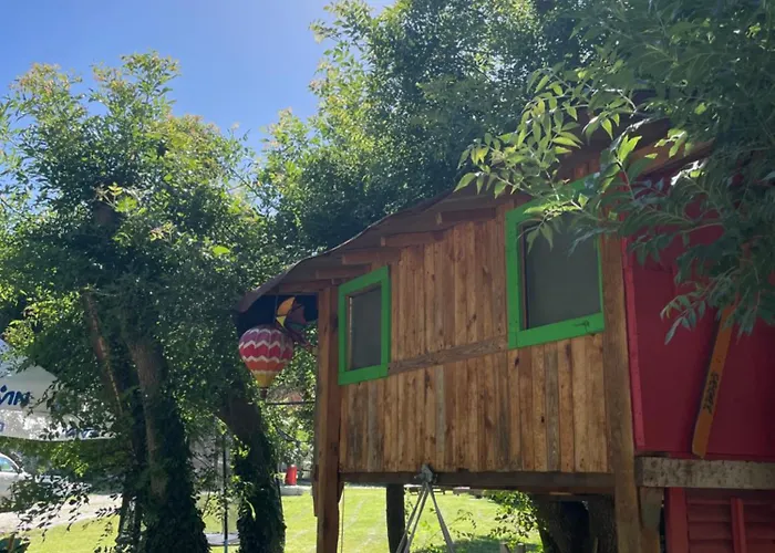 By Baza Academic Nisipurile de Aur