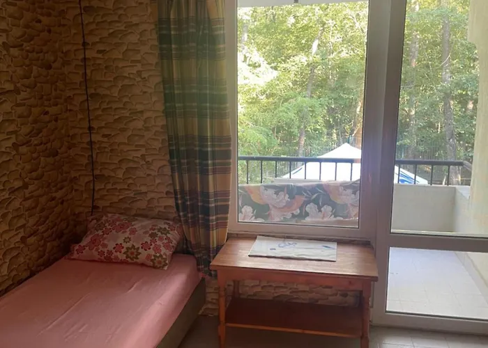 Apartament By Baza Academic Nisipurile de Aur