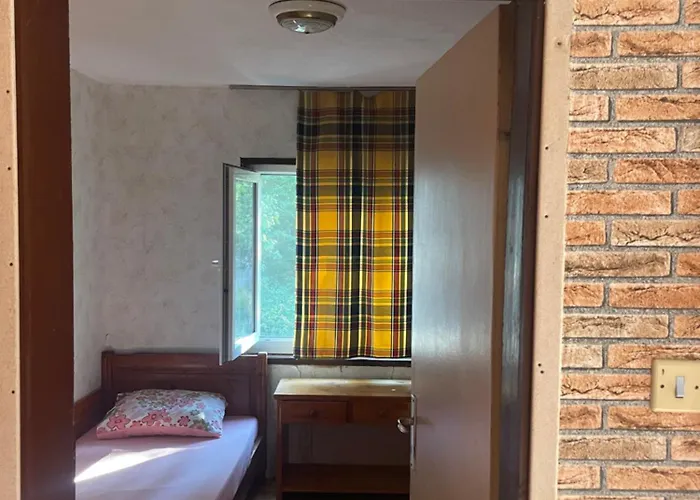 By Baza Academic Golden Sands